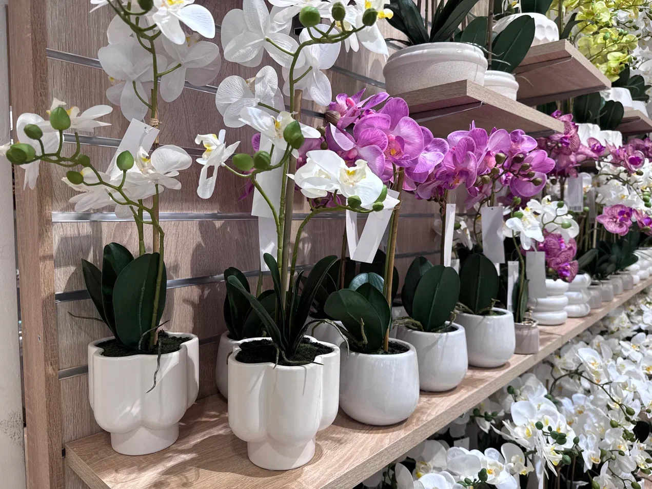 Доп.изображение в слайдере