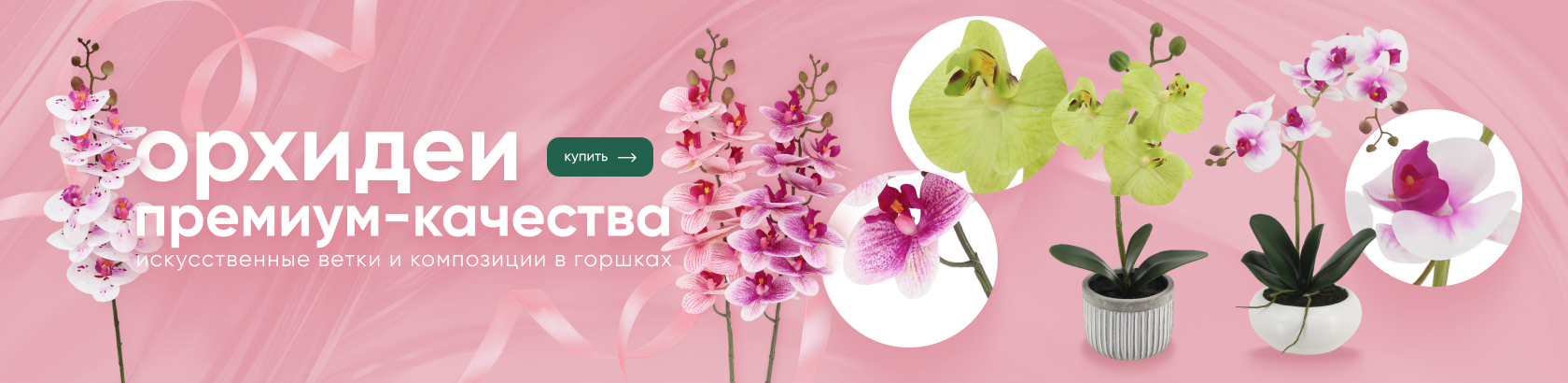 Орхидеи