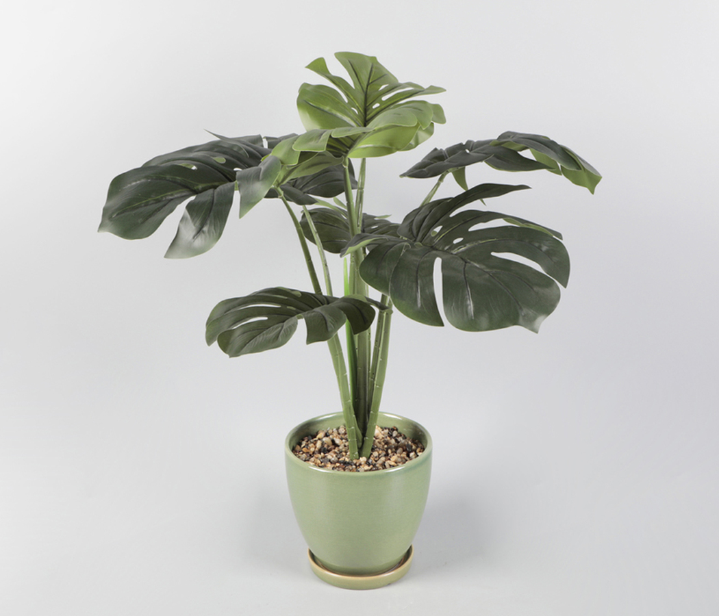 Искусственное растение "Монстера" в керамическом горшке, 22*67см.