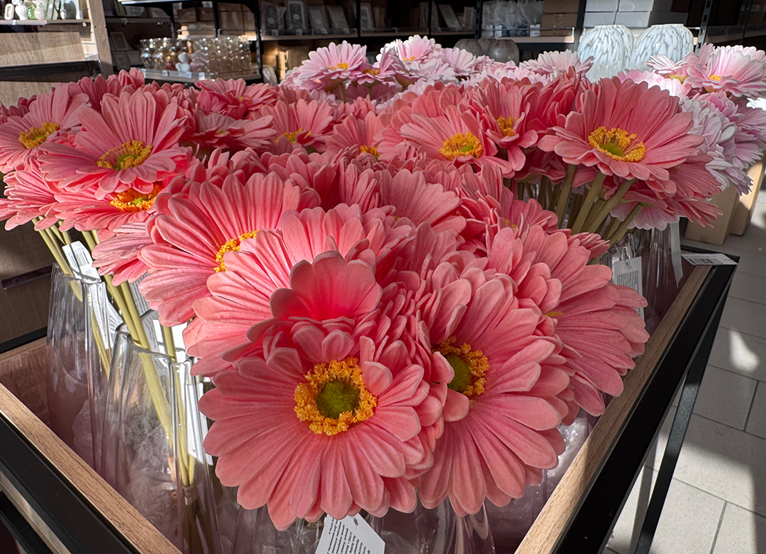 Доп.изображение в слайдере