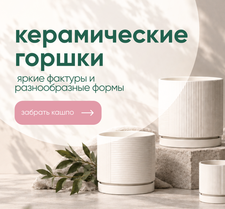 керамические горшки