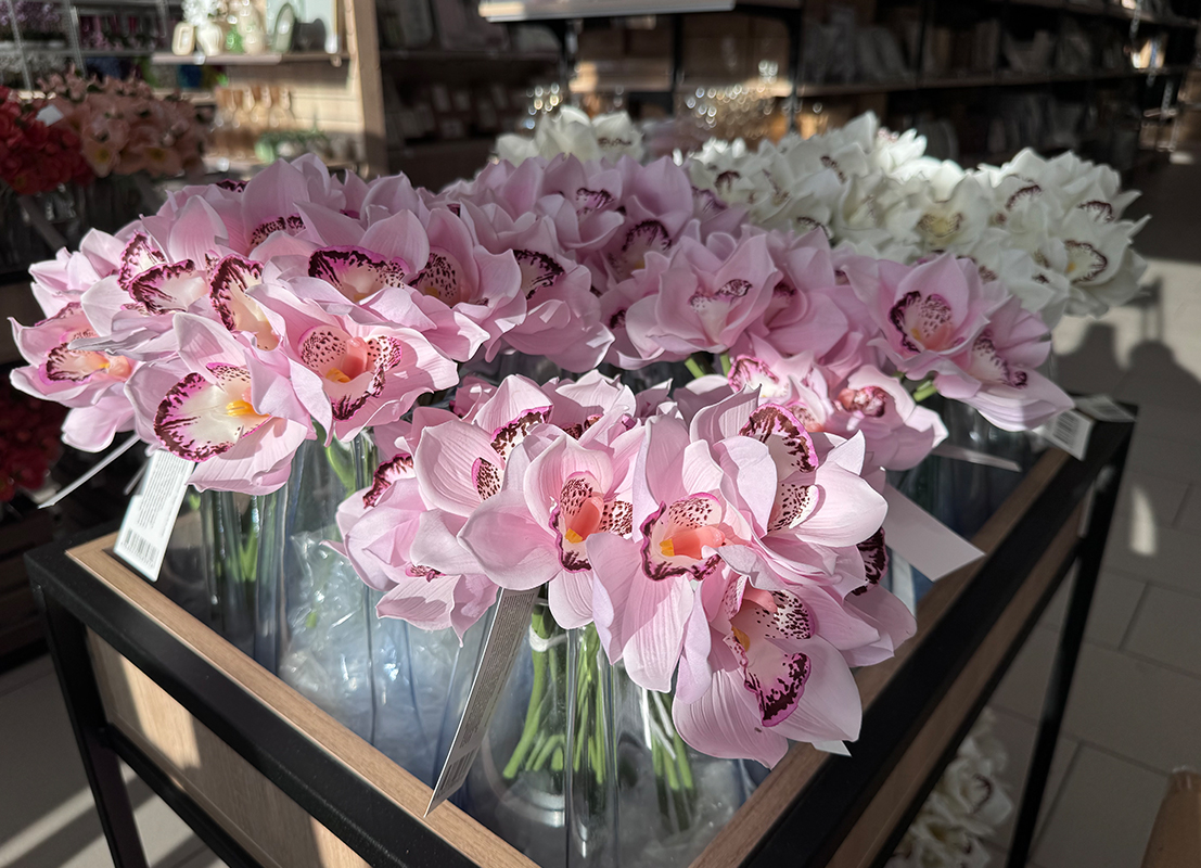 Доп.изображение в слайдере