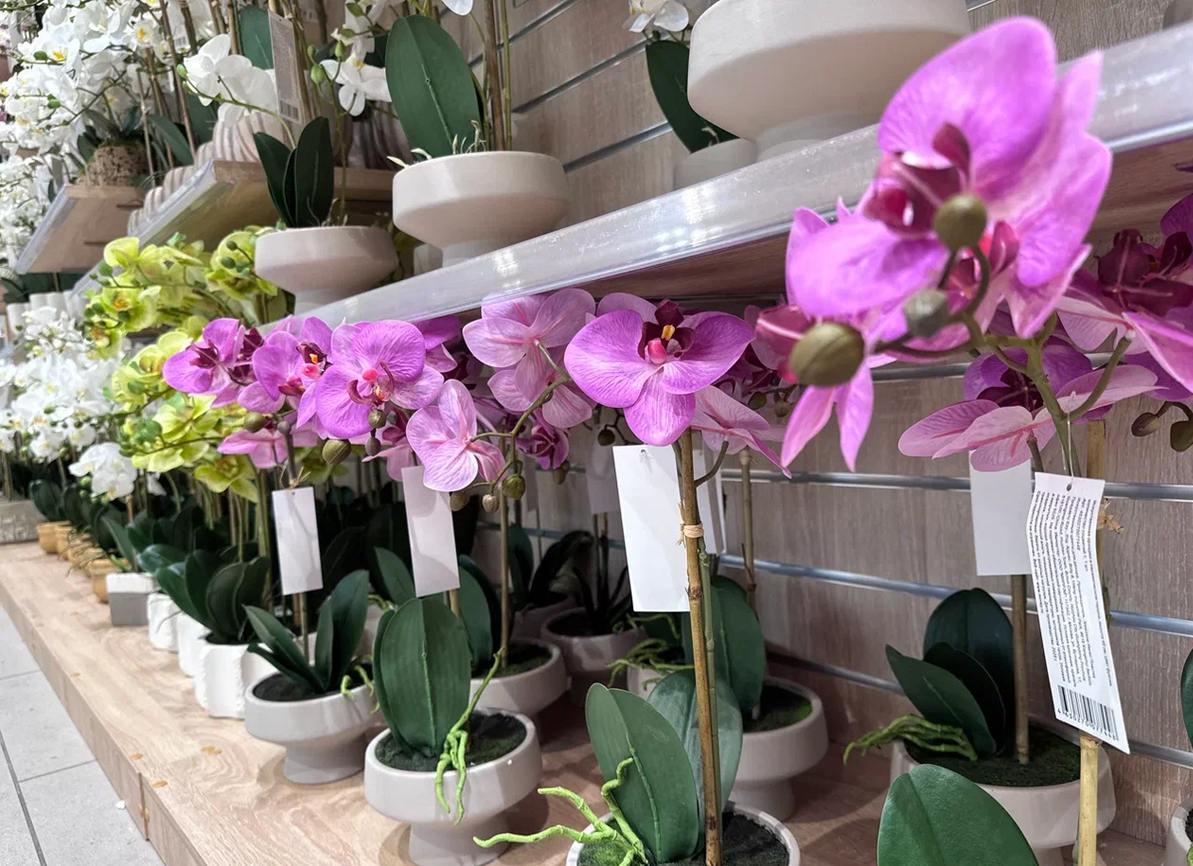 Доп.изображение в слайдере