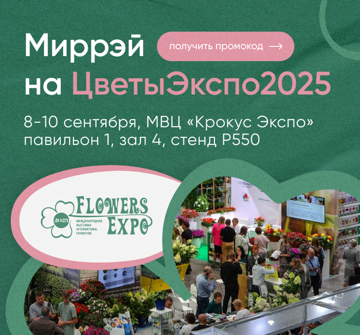 2025экспо