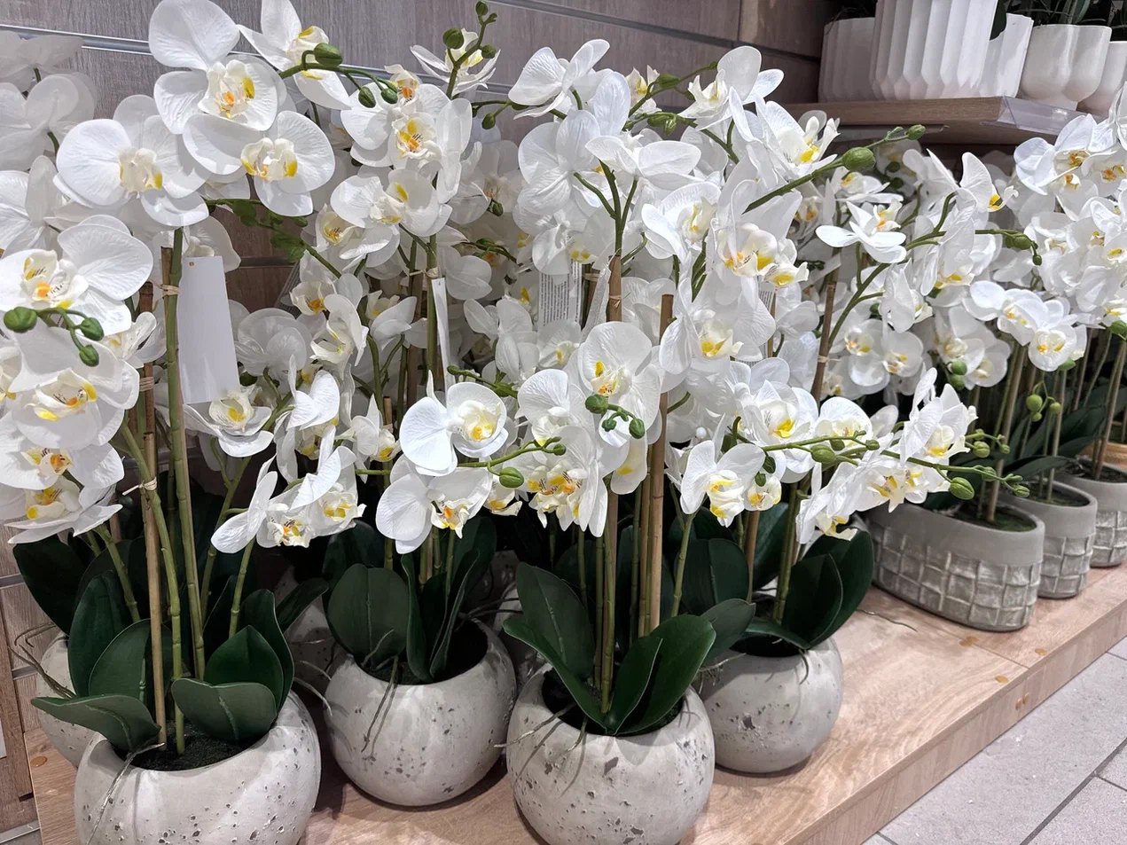 Доп.изображение в слайдере