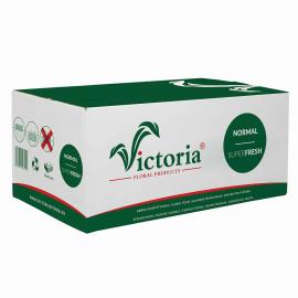 Victoria Normal Кирпич 20, 23х11х8 см ( в упак. 20 шт.)