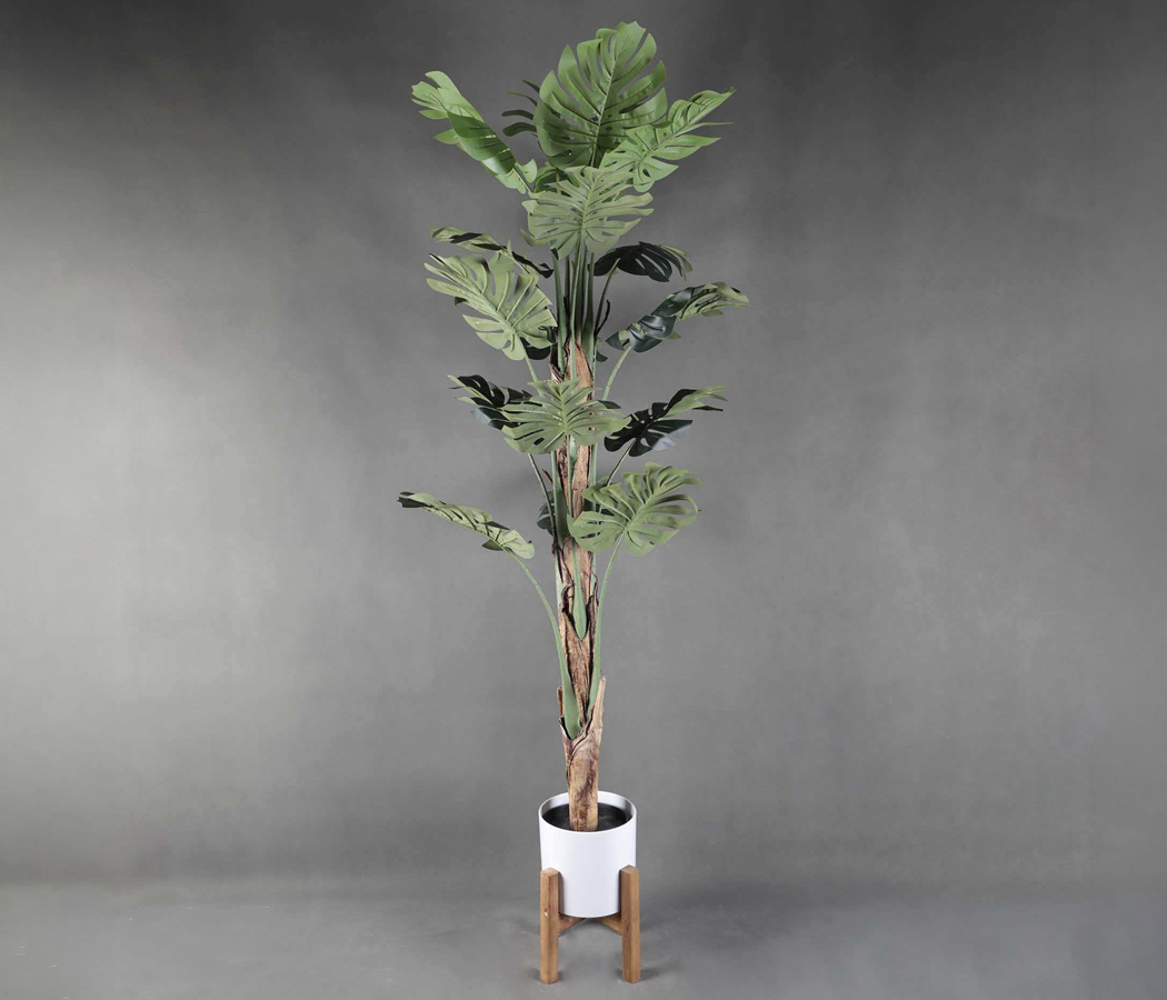 Искусственное растение "Монстера", в керамическом горшке на деревянной подставке, 68,5*200 см.