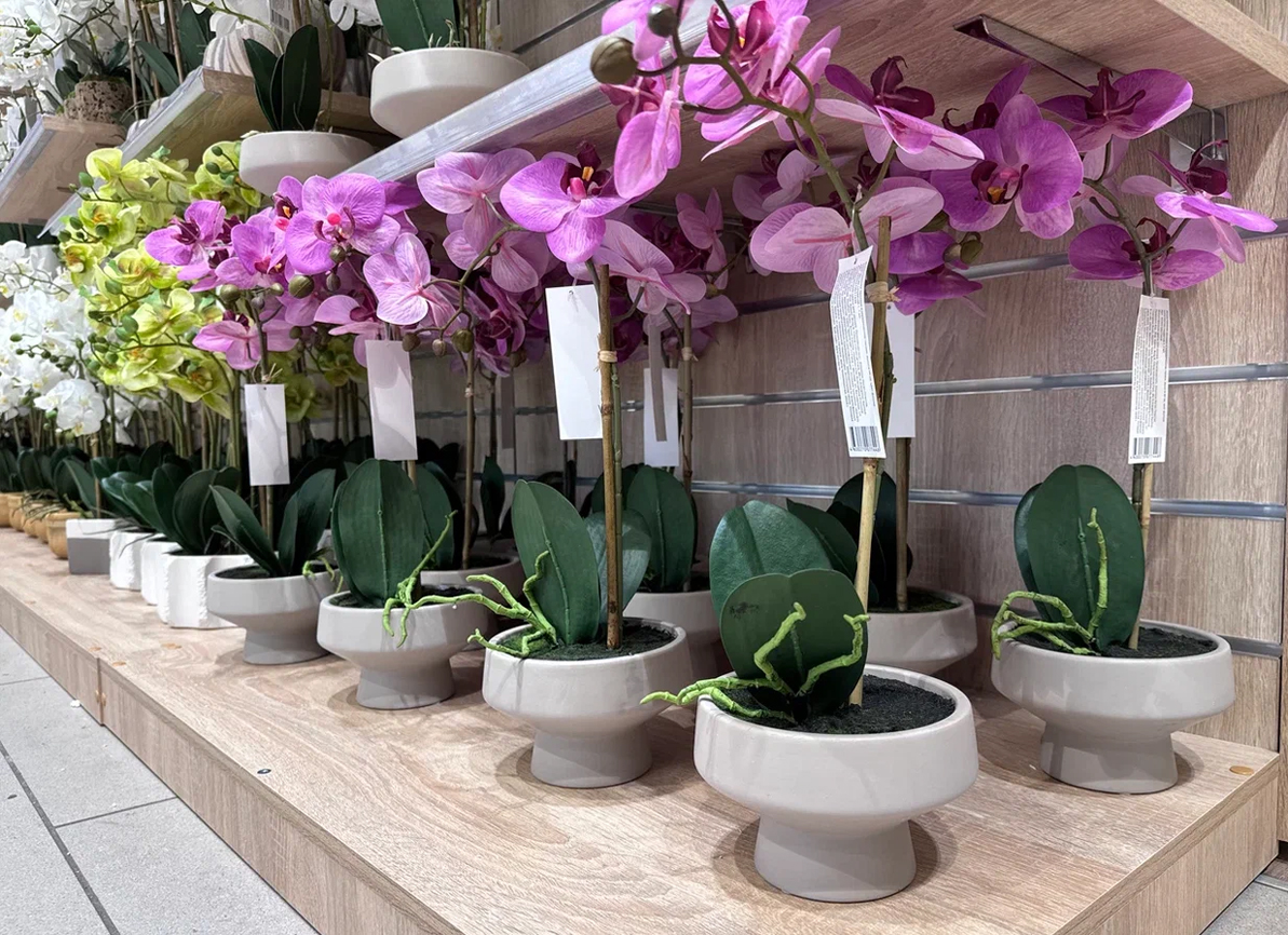 Доп.изображение в слайдере