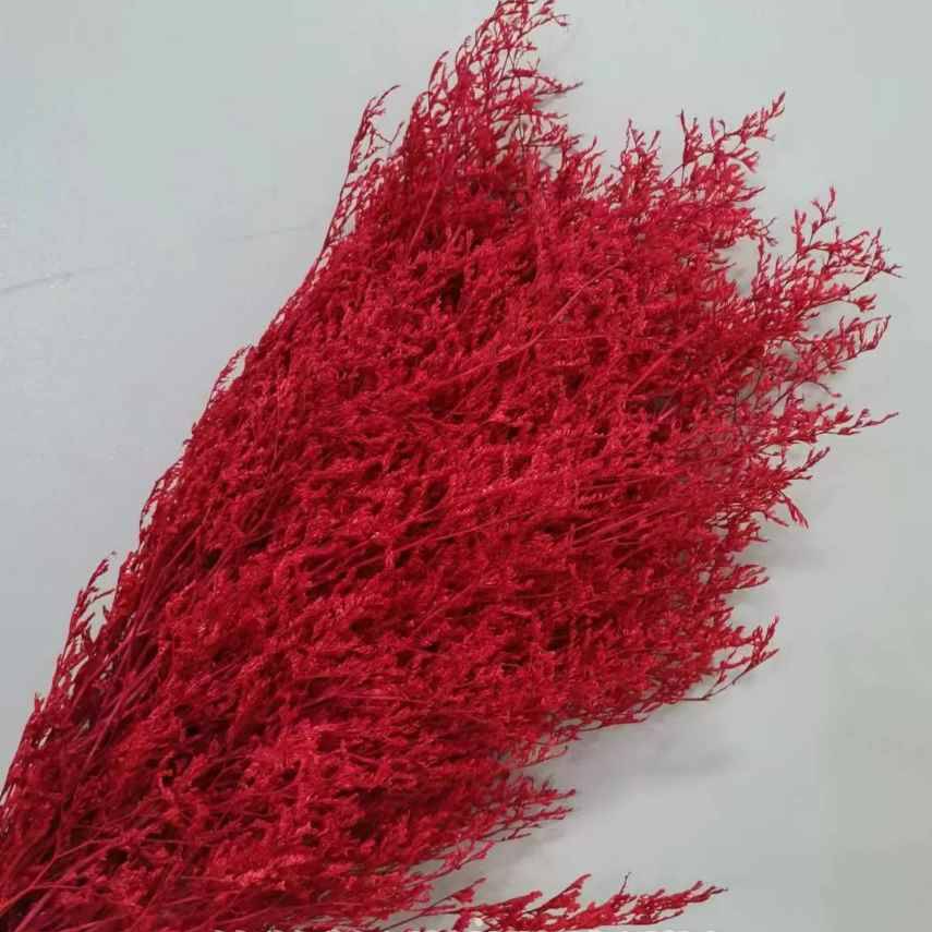 Cropped_Image (8).png