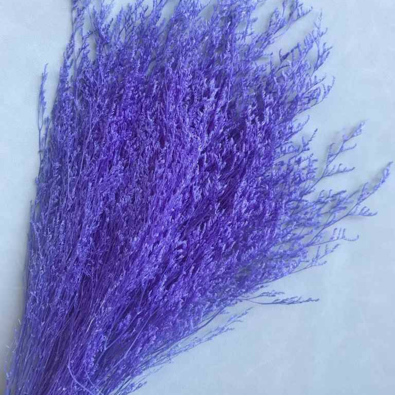 Cropped_Image (7).png