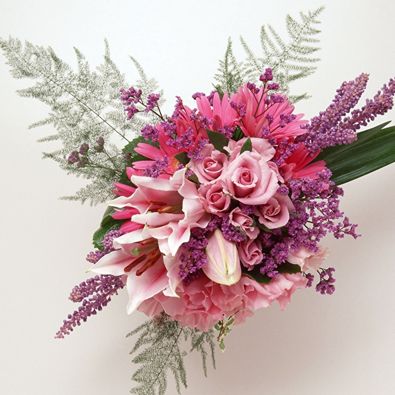 Cropped_Image (1).png