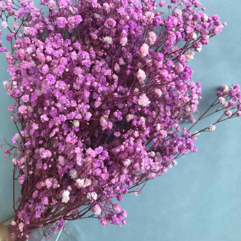 Cropped_Image (7).png