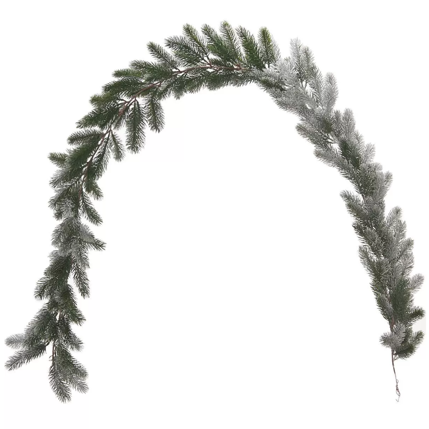 Cropped_Image.png