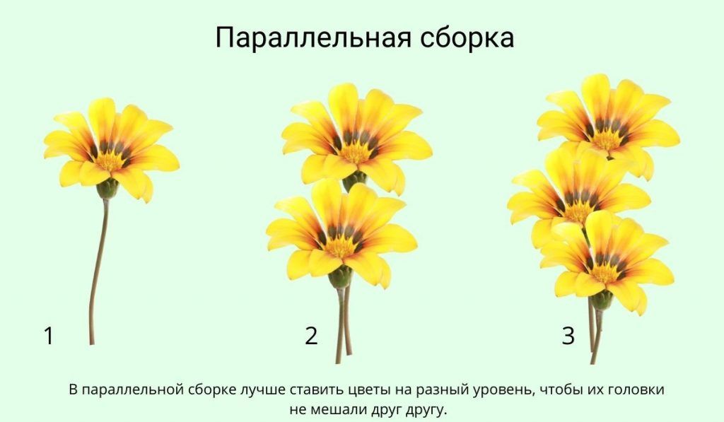 в текст.jpg
