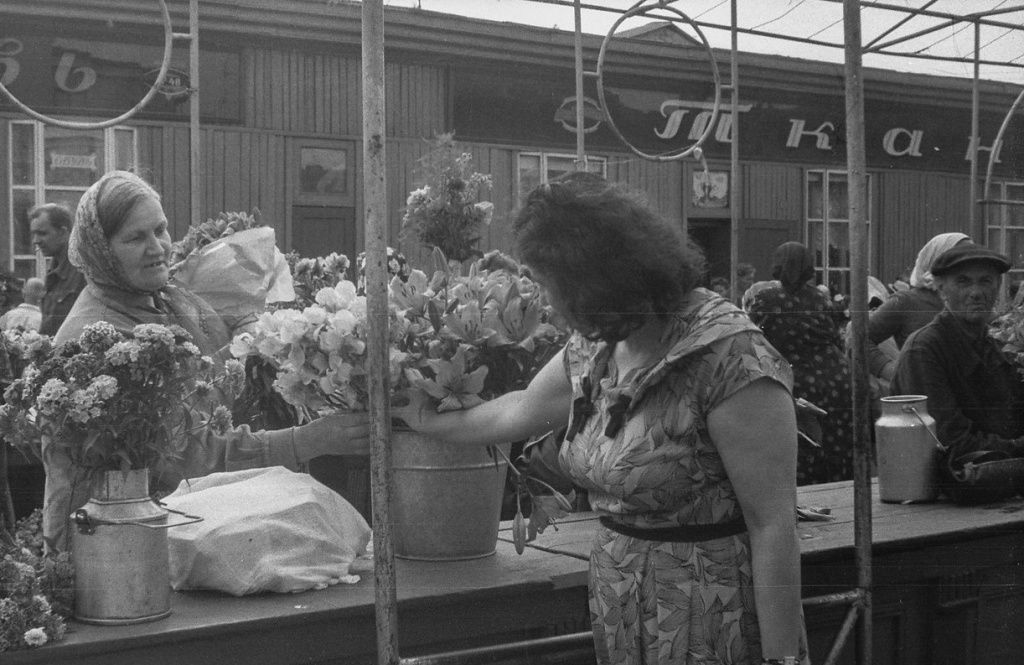 2919729984.jpg