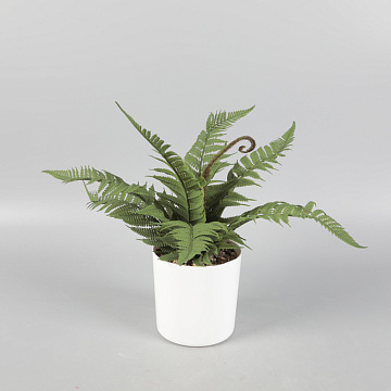 Искусственное растение "Папоротник Кимберли" в пластиковом горшке, 22*27см.