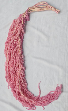 Сухоцвет "Амарантус", длина 90-110 см, 5 шт. розовый.