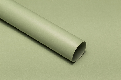 Упаковочный материал флористическая пленка "Органик", 70 мкр, 58 см х 10 м, св-зеленый