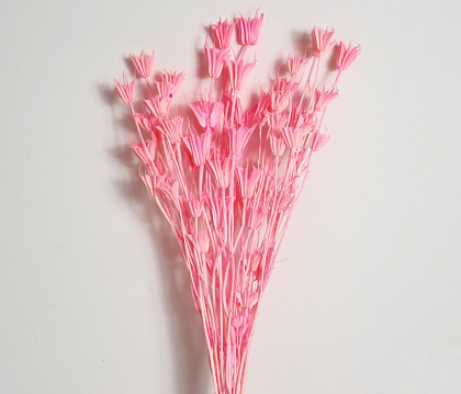 Сухоцвет "Нигелла", длина 70 см, 40-50 гр., светло-розовый