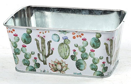 Декоративное кашпо "Кактусы" 14.5X9.5XH6.5CM
12X7CM. металл