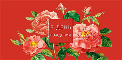 Открытка-конверт "В День Рождения!", размер: 8,3х16,7 см, в упак. 10 шт.