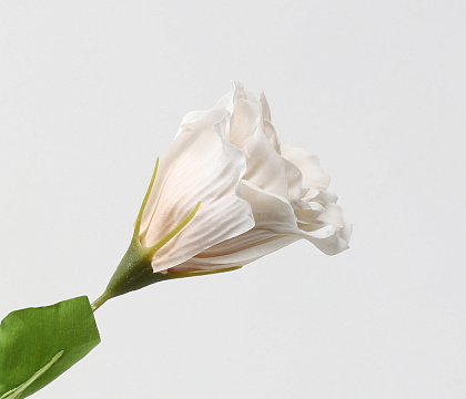 Цветок искусственный декоративный "Эустома", 71 см., слоновая кость