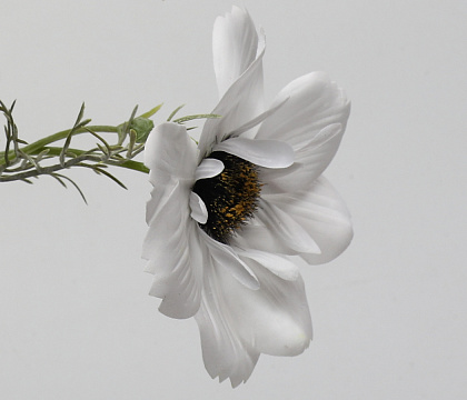 Цветок искусственный декоративный "Мак", 70 см., белый