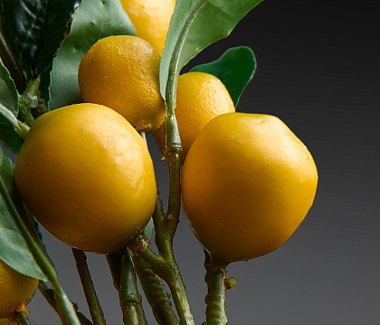 Ветка декоратная с плодами Лимона и листьями (плоды D4-6 шт., плоды D3,5-6 шт.) 55 см, 1 шт, желтый