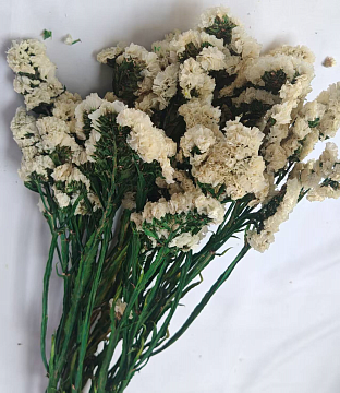 Сухоцвет "Статица", 120 гр/упак., белый.