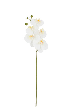 Искусственная ветка орхидеи, 61 см, цвет белый, количество цветков 5, 1 шт.