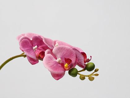 Цветок искусственный декоративный "Орхидея", 45 см., 5 соцветий, розовый