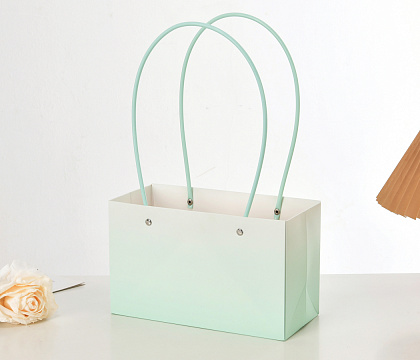 Пакет подарочный "Мастхэв градиент" прямоугольный, 22х10х13 см, 10 шт./упак., мятный