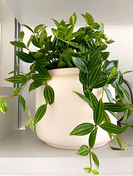 Ваза декоративная керамическая, цвет терракот, 14,5*13 см