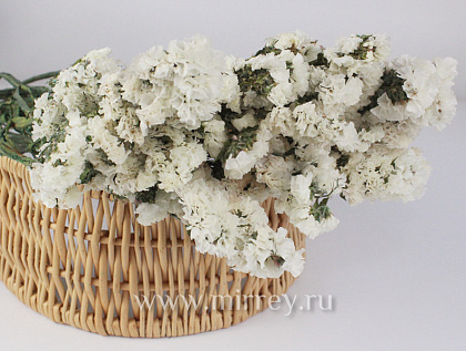  Сухоцвет "Статица", 120 гр/упак., белый