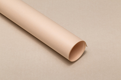 Упаковочный материал флористическая пленка "Органик", 70 мкр, 58 см х 10 м, шампань