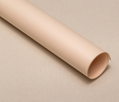 Упаковочный материал флористическая пленка "Органик", 70 мкр, 58 см х 10 м, шампань