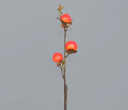 Ветка декоративная с хурмой (плоды D3,5 -1 шт., D3 см - 2 шт.), 37 см, 1 шт.