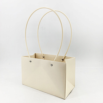 Пакет подарочный "Мастхэв" прямоугольный, 22х10х13 см, 10 шт./упак., шампань