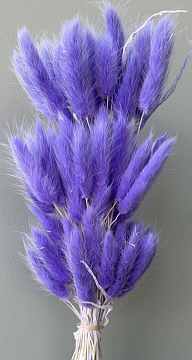Сухоцвет "Лагурус", 60 шт в пучке, разм. цветка 5-7 см, нежно-сиреневый.