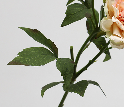 Цветок искусственный декоративный "Пион", 65 см., персиковый