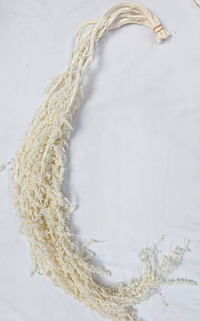 Сухоцвет "Амарантус", длина 90-110 см, 5 шт. белый.