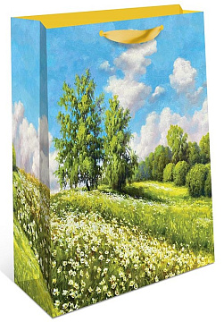 Сумка подарочная, размер: 26х32х12 см. в упак. 6 шт.