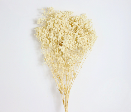 Сухоцвет "Гипсофила", длина 70-80 см., 120 гр/упак., белый.