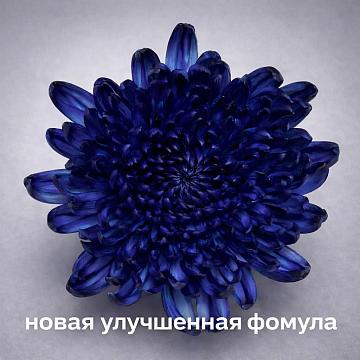 Краска для окрашивания живых цветов, цвет темно-синий, #8, 0,300 л.