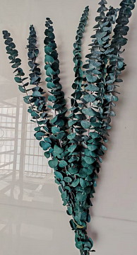 Сухоцвет "Эвкалипт Бэби Блю", длина 60-65 см, 10 шт./упак, изумрудный.