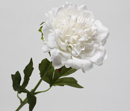 Цветок искусственный декоративный "Пион", H56*D14 см., кремовый