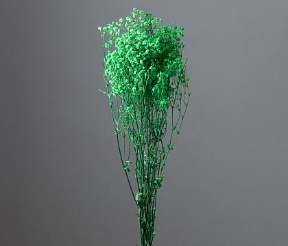 Сухоцвет "Гипсофила", длина 70-80 см, 120 гр/упак., сочное яблоко.