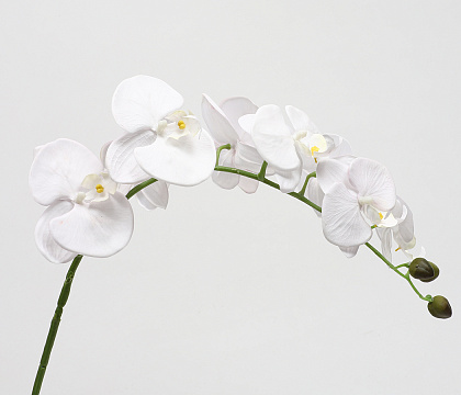 Цветок искусственный декоративный "Орхидея", 90 см., 8 соцветий, белый