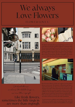 Упак. материал флористическая пленка "Романтика" 65 мкр, 40 см х 56 см, 20 листов/упак., винный