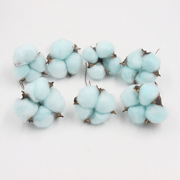 Сухоцвет "Хлопок" 10 шт./упак., тиффани.